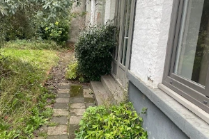 Gazon et arbustes fraîchement coupés par notre équipe lors de l’entretien d’un jardin à Lille.