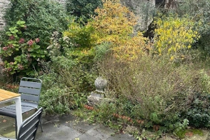 Photo d’un jardin en friche avant l’entretien des espaces verts à Lille par Merci Débarras.
